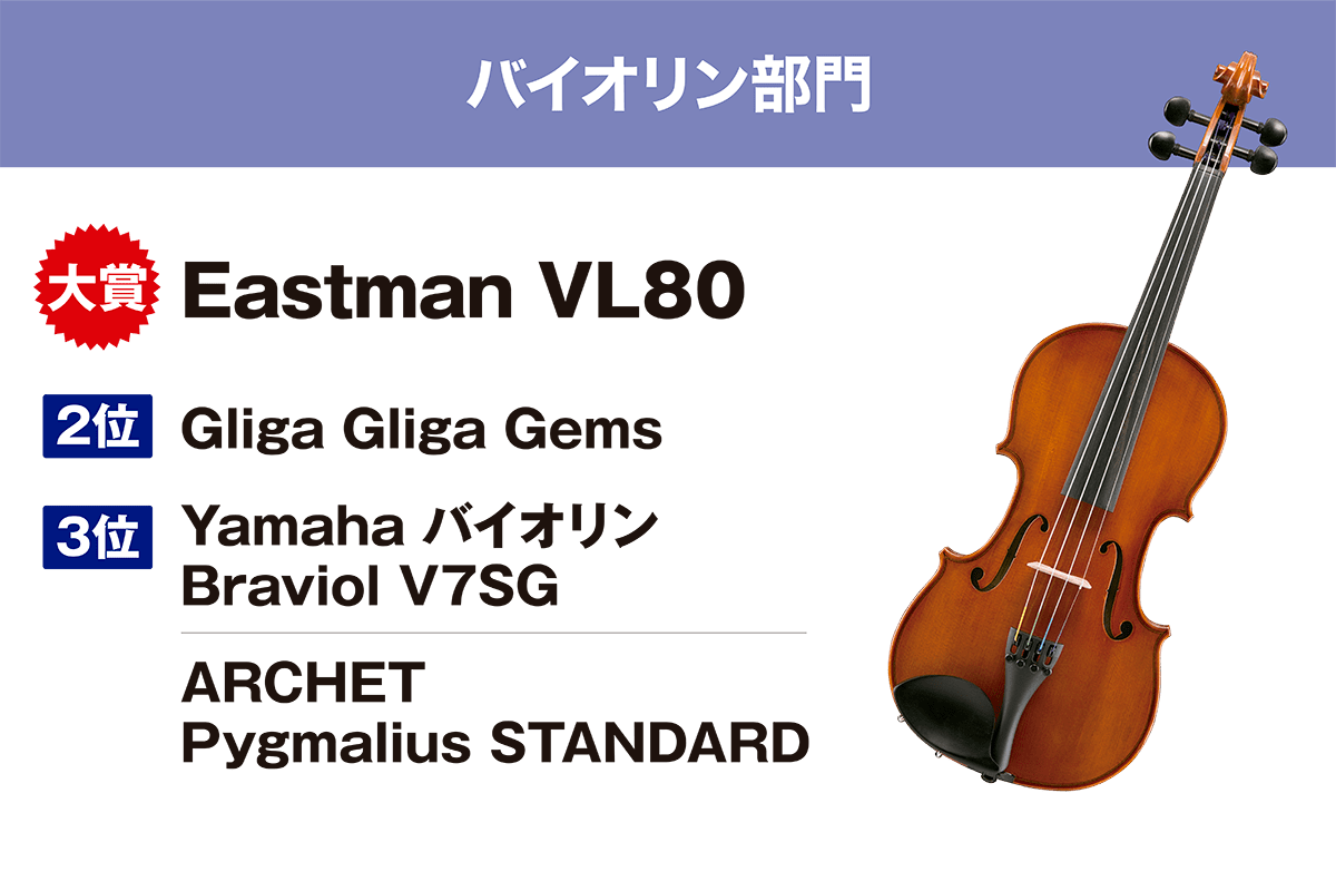 Eastman Strings / VL80